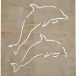 Dolphins