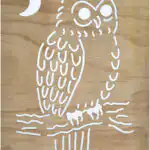 Morepork - Ruru