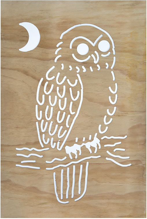 Morepork - Ruru