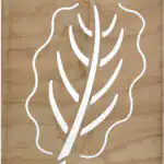 Puka Leaf