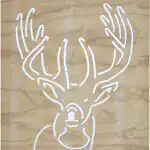 Stag
