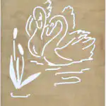 Swans